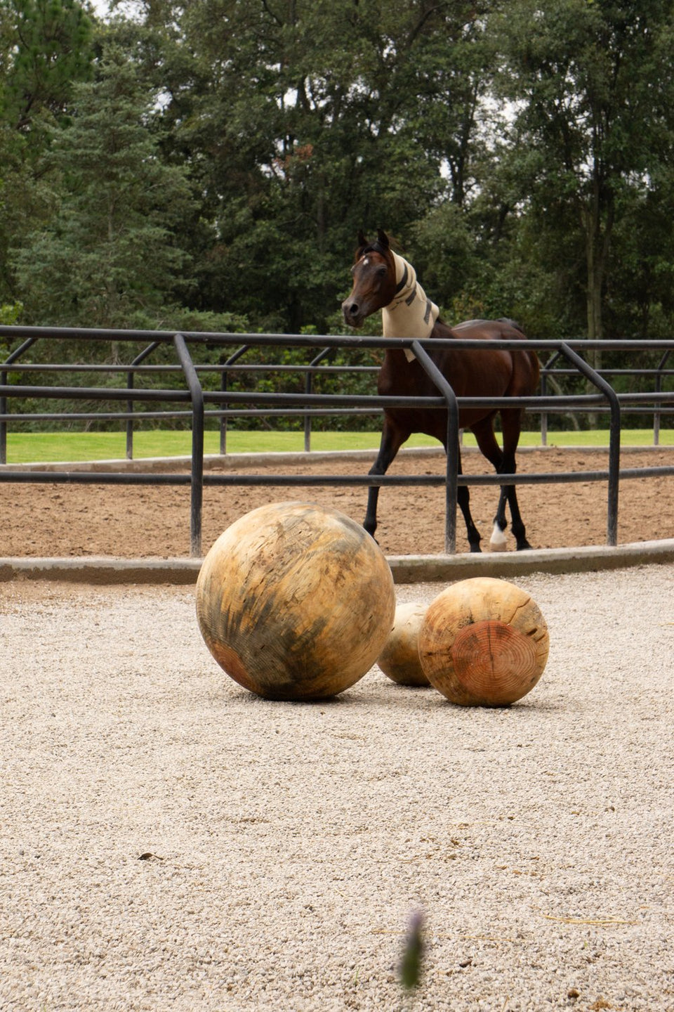 CARVED SPHERE